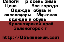 Сапоги 35 р.осень-зима  › Цена ­ 700 - Все города Одежда, обувь и аксессуары » Мужская одежда и обувь   . Красноярский край,Зеленогорск г.